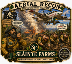 Aerial Recon